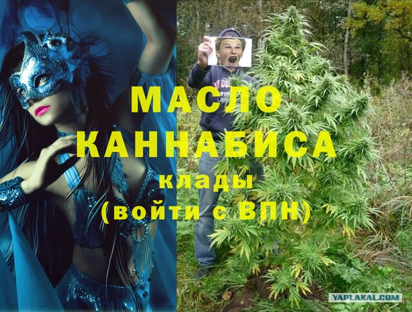 индика Краснослободск
